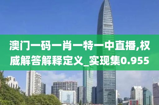 澳门一码一肖一特一中直播,权威解答解释定义_实现集0.955