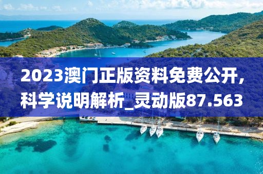 2023澳门正版资料免费公开,科学说明解析_灵动版87.563