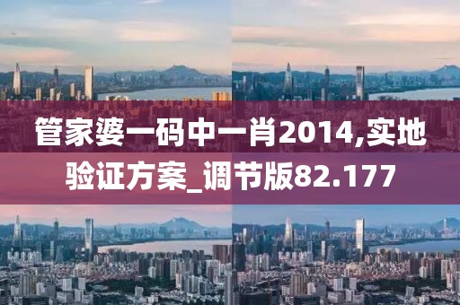 管家婆一码中一肖2014,实地验证方案_调节版82.177