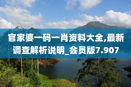 官家婆一码一肖资料大全,最新调查解析说明_会员版7.907