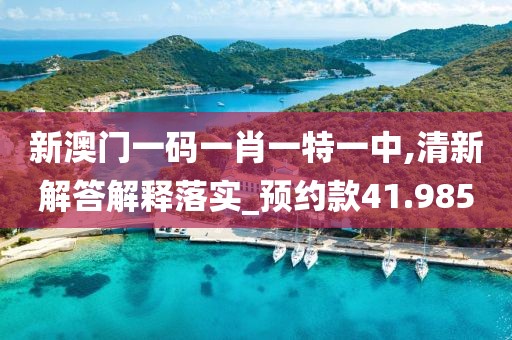 新澳门一码一肖一特一中,清新解答解释落实_预约款41.985