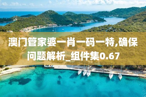澳门管家婆一肖一码一特,确保问题解析_组件集0.67