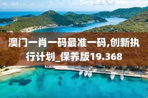 澳门一肖一码最准一码,创新执行计划_保养版19.368