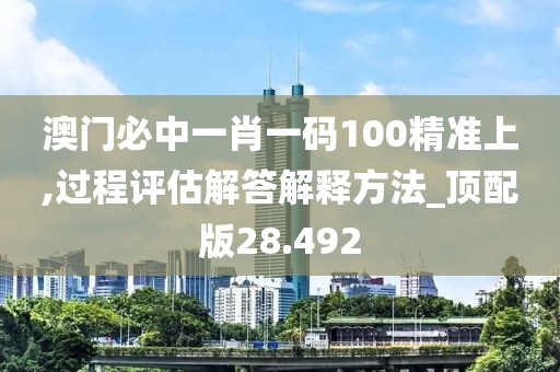 澳门必中一肖一码100精准上,过程评估解答解释方法_顶配版28.492