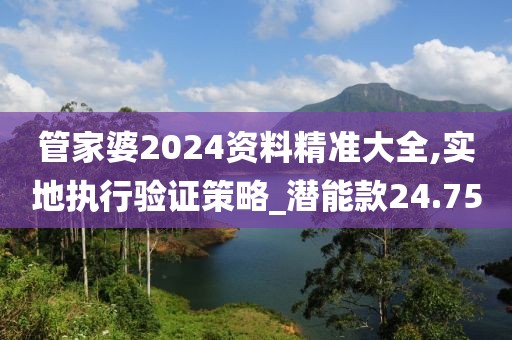 管家婆2024资料精准大全,实地执行验证策略_潜能款24.75