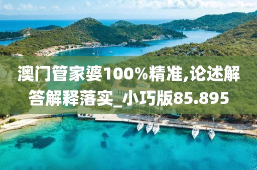 澳门管家婆100%精准,论述解答解释落实_小巧版85.895