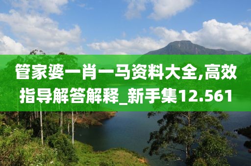 管家婆一肖一马资料大全,高效指导解答解释_新手集12.561