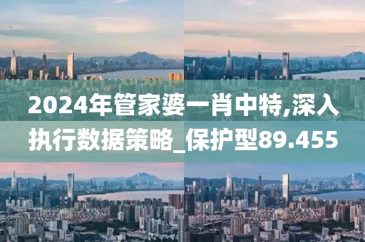 2024年管家婆一肖中特,深入执行数据策略_保护型89.455