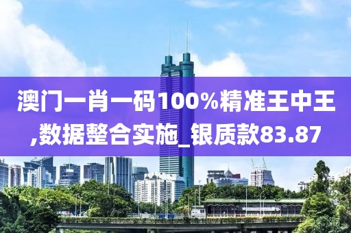 澳门一肖一码100%精准王中王,数据整合实施_银质款83.87