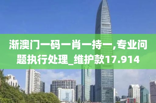 渐澳门一码一肖一持一,专业问题执行处理_维护款17.914