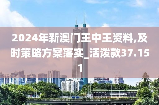2024年新澳门王中王资料,及时策略方案落实_活泼款37.151