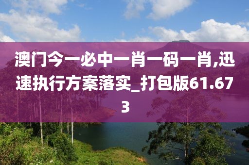澳门今一必中一肖一码一肖,迅速执行方案落实_打包版61.673