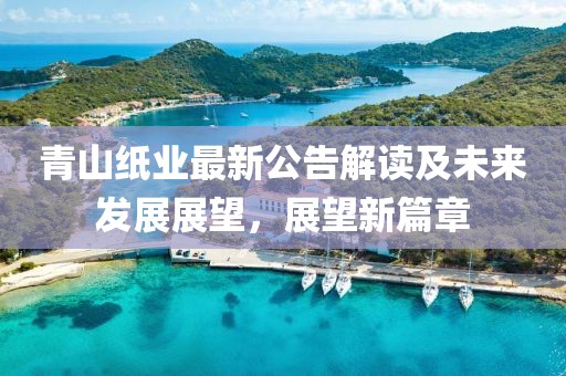 青山纸业最新公告解读及未来发展展望，展望新篇章