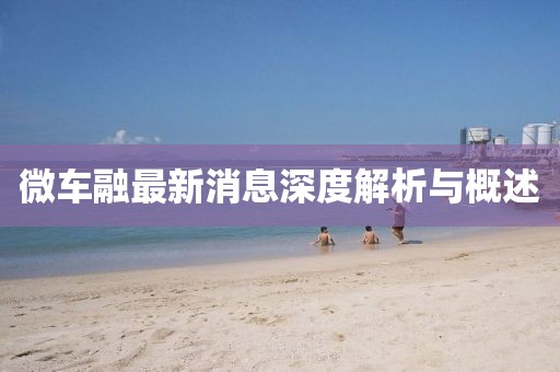 微车融最新消息深度解析与概述
