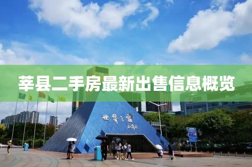 莘县二手房最新出售信息概览