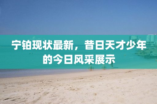宁铂现状最新，昔日天才少年的今日风采展示