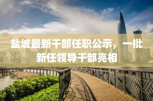 盐城最新干部任职公示，一批新任领导干部亮相