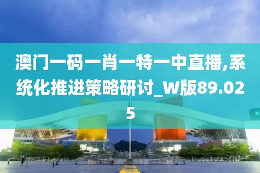 澳门一码一肖一特一中直播,系统化推进策略研讨_W版89.025