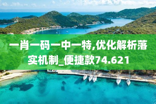 一肖一码一中一特,优化解析落实机制_便捷款74.621
