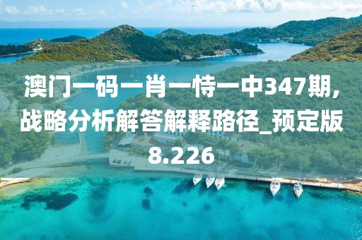 澳门一码一肖一恃一中347期,战略分析解答解释路径_预定版8.226