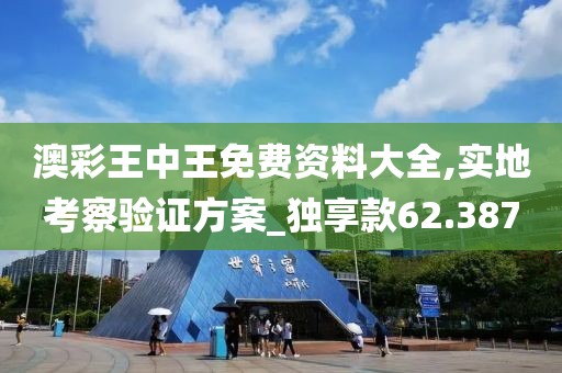 澳彩王中王免费资料大全,实地考察验证方案_独享款62.387