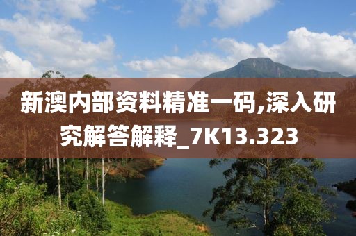 新澳内部资料精准一码,深入研究解答解释_7K13.323