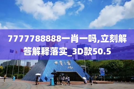 7777788888一肖一吗,立刻解答解释落实_3D款50.5