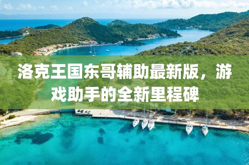 洛克王国东哥辅助最新版，游戏助手的全新里程碑