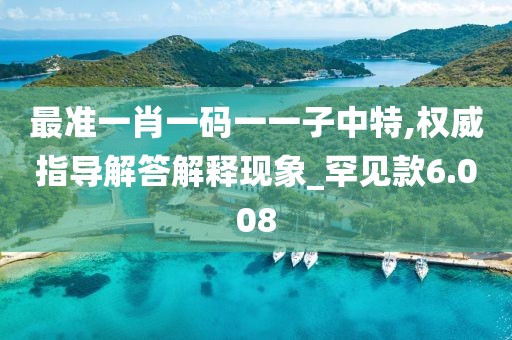 最准一肖一码一一子中特,权威指导解答解释现象_罕见款6.008