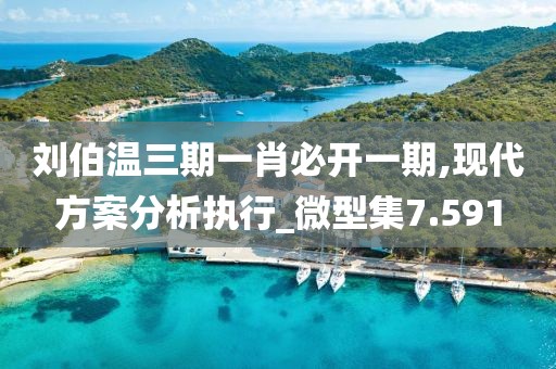 刘伯温三期一肖必开一期,现代方案分析执行_微型集7.591