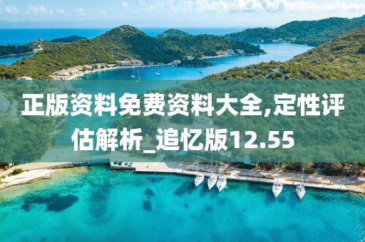 正版资料免费资料大全,定性评估解析_追忆版12.55