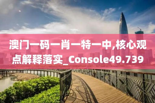 澳门一码一肖一特一中,核心观点解释落实_Console49.739