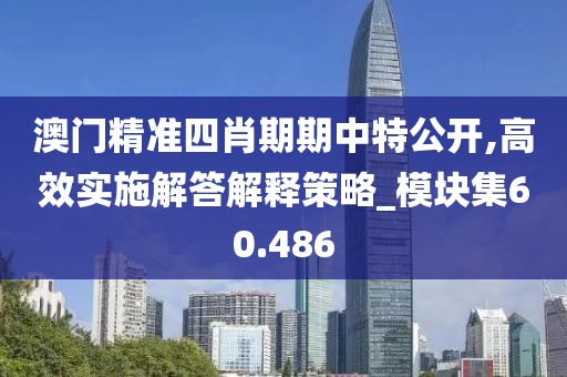 澳门精准四肖期期中特公开,高效实施解答解释策略_模块集60.486