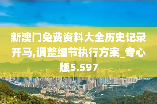 新澳门免费资料大全历史记录开马,调整细节执行方案_专心版5.597