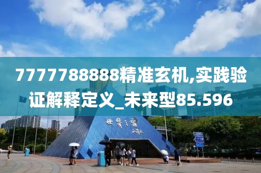 7777788888精准玄机,实践验证解释定义_未来型85.596