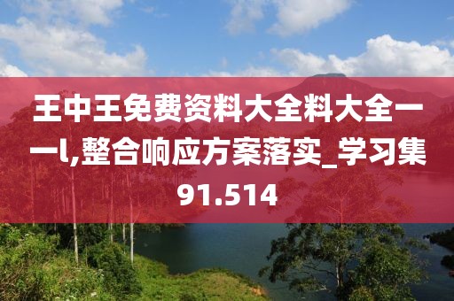 王中王免费资料大全料大全一一l,整合响应方案落实_学习集91.514