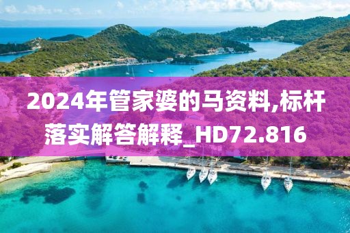 2024年管家婆的马资料,标杆落实解答解释_HD72.816