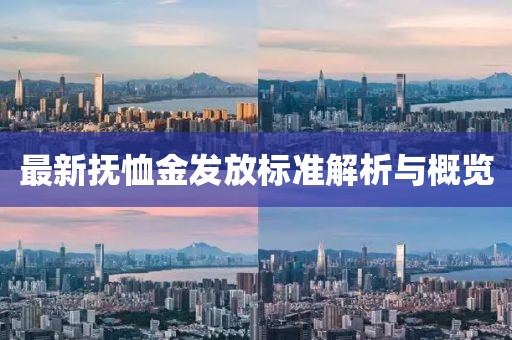 最新抚恤金发放标准解析与概览