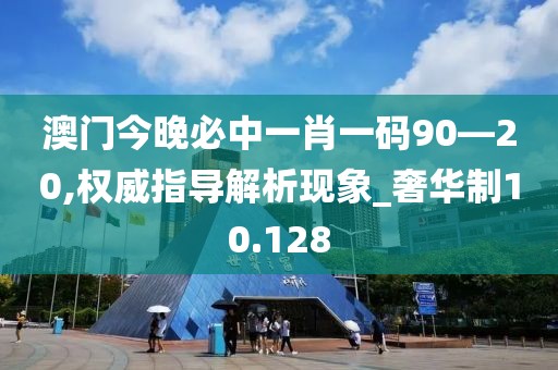澳门今晚必中一肖一码90—20,权威指导解析现象_奢华制10.128
