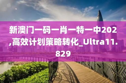 新澳门一码一肖一特一中202,高效计划策略转化_Ultra11.829