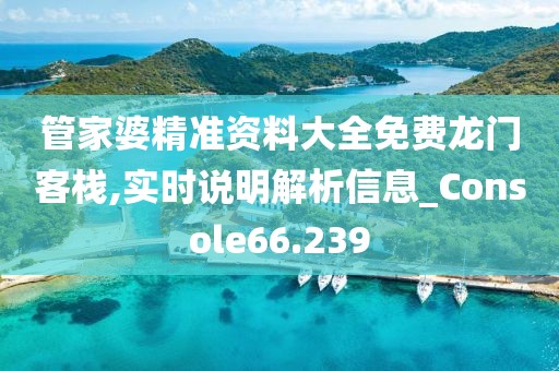 管家婆精准资料大全免费龙门客栈,实时说明解析信息_Console66.239