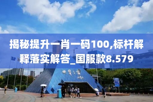 揭秘提升一肖一码100,标杆解释落实解答_国服款8.579
