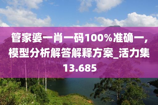 管家婆一肖一码100%准确一,模型分析解答解释方案_活力集13.685