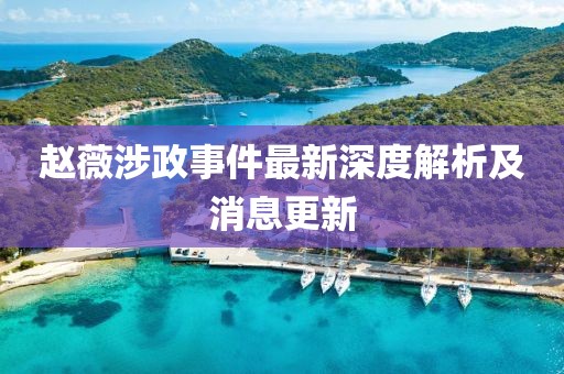 赵薇涉政事件最新深度解析及消息更新