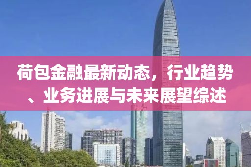 荷包金融最新动态，行业趋势、业务进展与未来展望综述