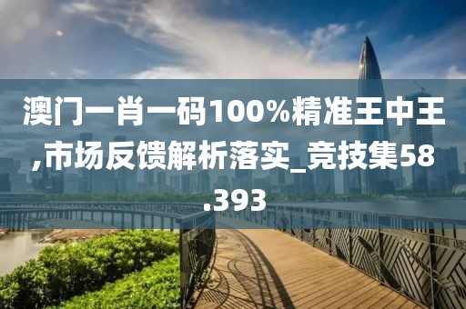 澳门一肖一码100%精准王中王,市场反馈解析落实_竞技集58.393