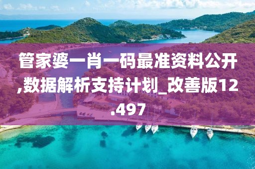 管家婆一肖一码最准资料公开,数据解析支持计划_改善版12.497