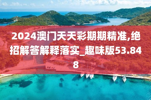 2024澳门天天彩期期精准,绝招解答解释落实_趣味版53.848