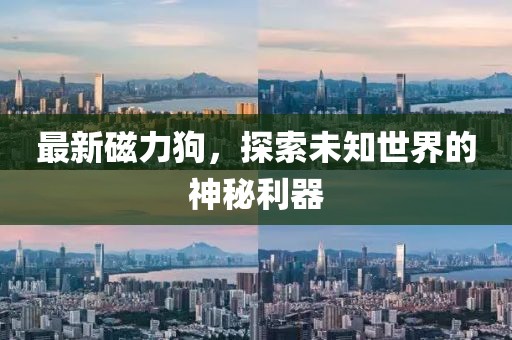 最新磁力狗，探索未知世界的神秘利器