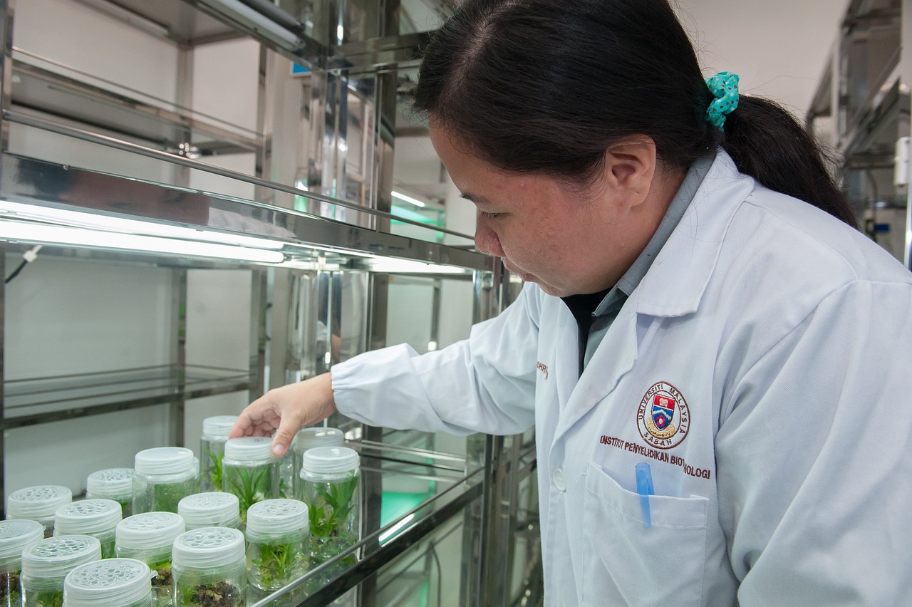 例行检查，确保安全与效率的关键环节